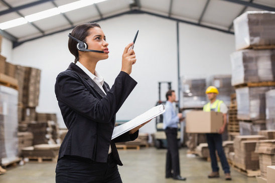 Businesswoman Organizing Inventory
