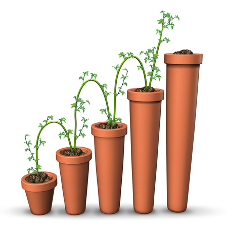 Steps to Growth